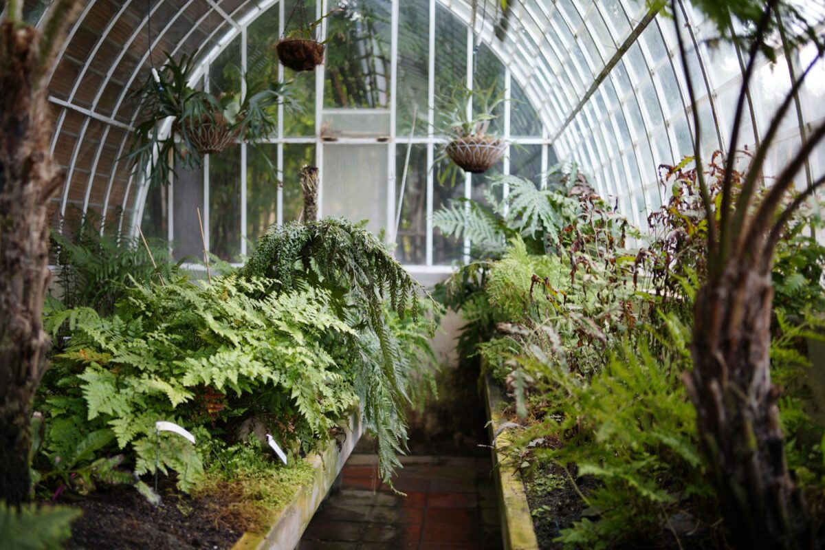 Merveilleuses molécules végétales : la chimie des plantes exposée au jardin botanique de Nancy